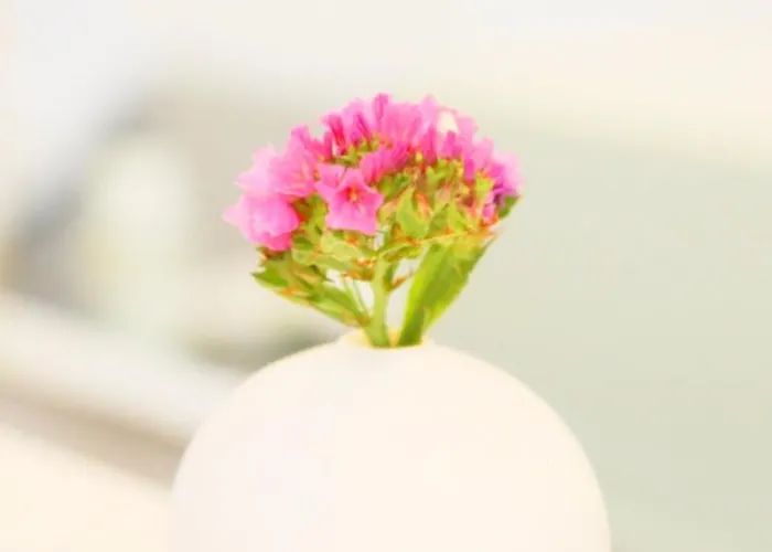 Greifensteiner Hof 4*